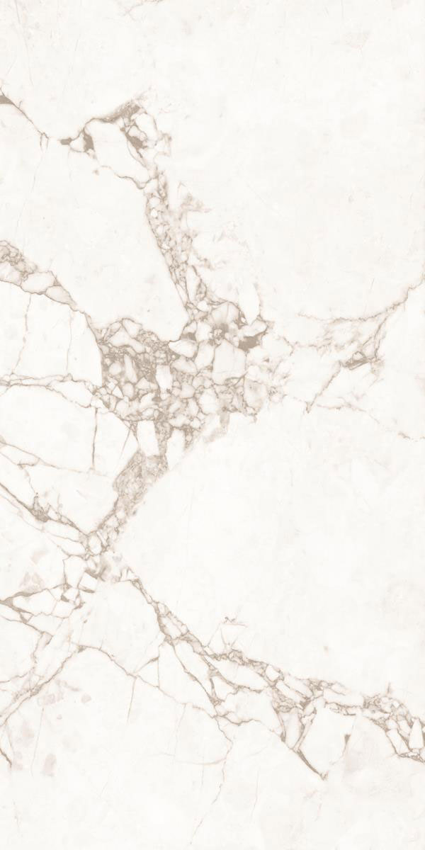 KATNI BIANCO P2